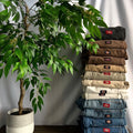 Dickies Jeans (2 pairs)